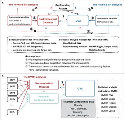 Obstructive sleep apnea and 19 gastrointestinal diseases: a Mendelian randomization study